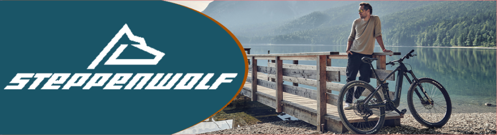 Motor DJI Avinox steppenwolf